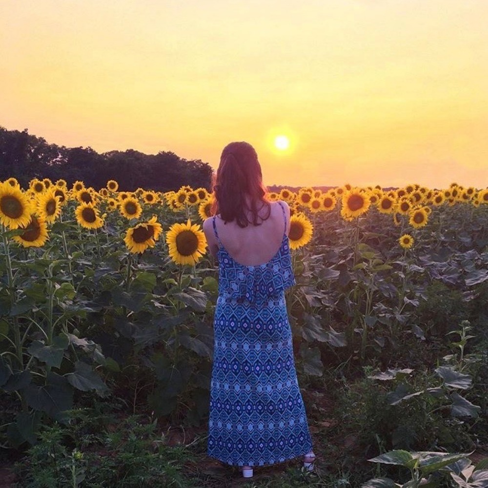 Meet your Posher, Kat